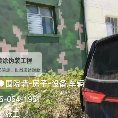 奉节数码迷彩漆施工